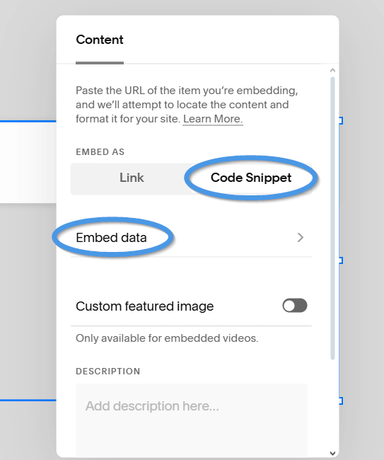 Squarespace blog install step