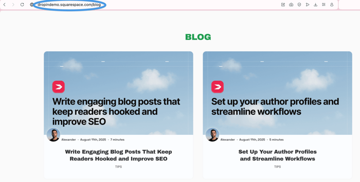 Copying the Squarespace blog link