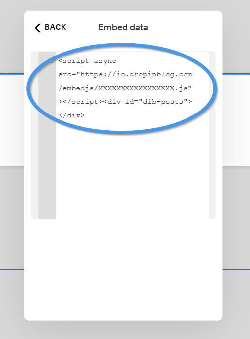 Squarespace blog install step