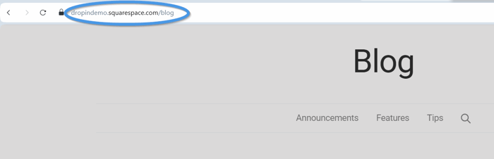 Squarespace blog install step