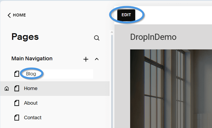 Squarespace blog install step