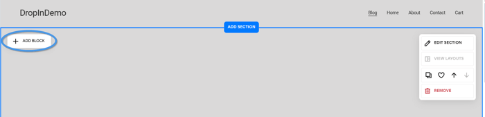 Squarespace blog install step