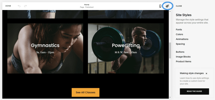 Squarespace site styles