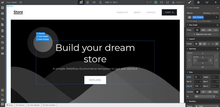 Webflow editing customization