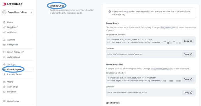 Widget Code section in DropInBlog's admin