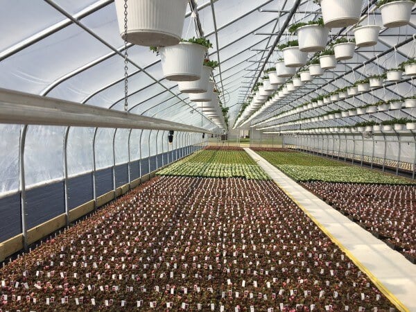 Irrigation Automation - Without Losing Control
