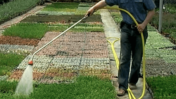 Specialized Watering Tools for Every Need
