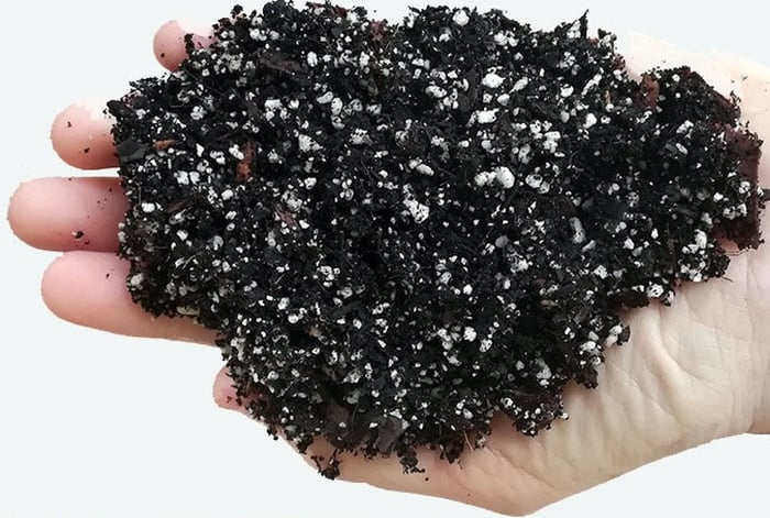 Soil, media, substrate or just plain dirt, which is correct?