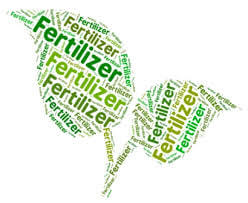 Liquid Fertilizers vs. Granular Fertilizers