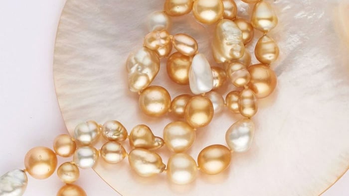 First Ever Golden South Sea Harvest Strand