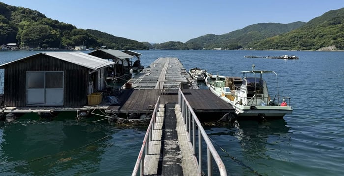 An Akoya Pearl Farm in Tsushima, Japan