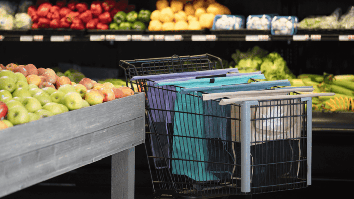How to Shop with the Lotus Trolley Bag 