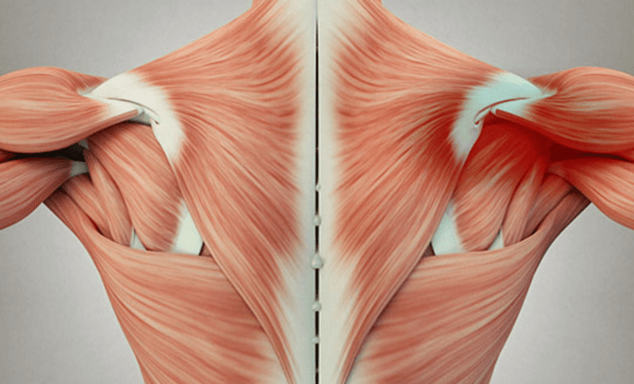 EMS for Muscle Knots