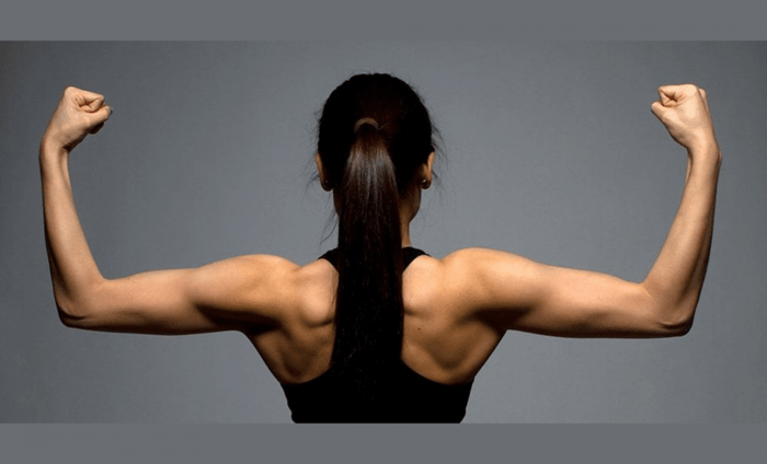 How to Build your Back with Dumbbells