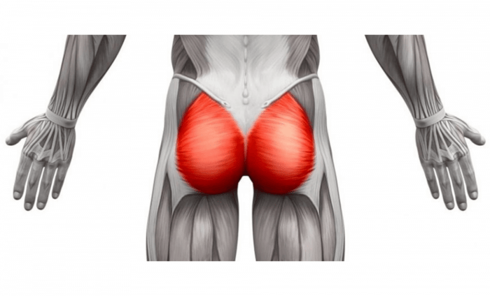 Best Exercises to Grow Glutes