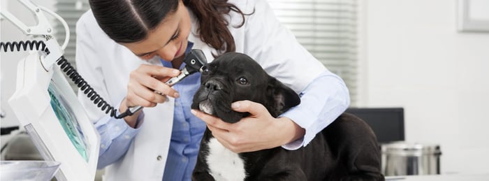 The VMX Veterinary Conference Is Coming Up Soon—1TDC™ Hopes to See You There!