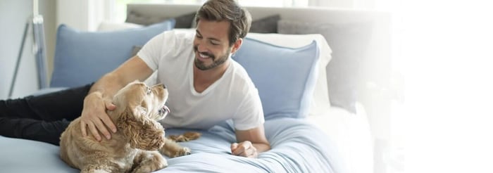 The Ultimate Bedding Guide for Pet Owners