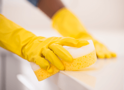 Bacteria in Sponges: 3 Dirty Secrets You Should Know