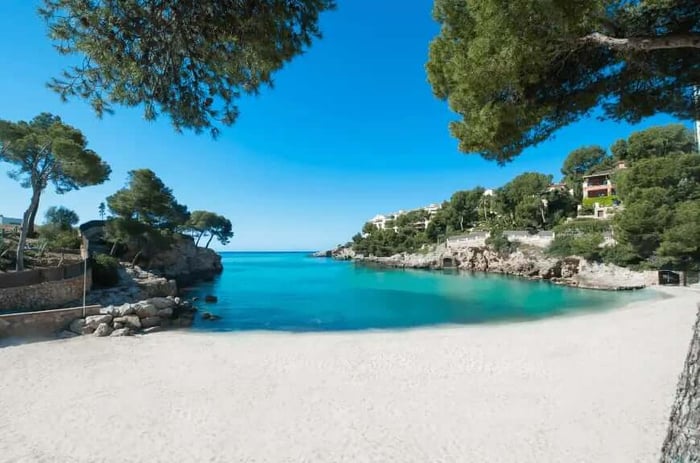 Caleta de Portals Nous