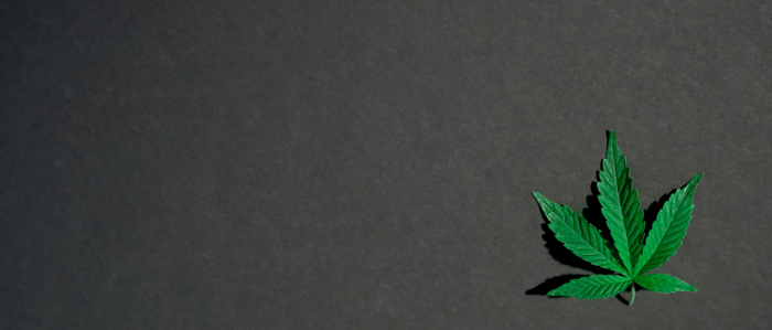 What is Delta-8 THC?