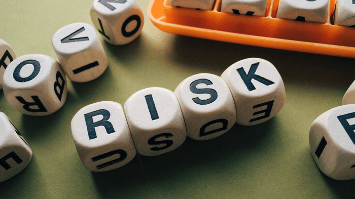 Level 4 Corporate Responsibility and Sustainability Practitioner Apprenticeship - Risk Management