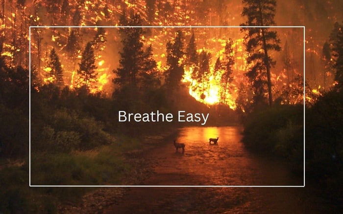 Breathe Easy: Finding the Best Protection from Wildfire Smoke with a Nanofilter Face Mask
