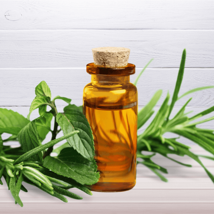 Tea Tree Eterisk Olje