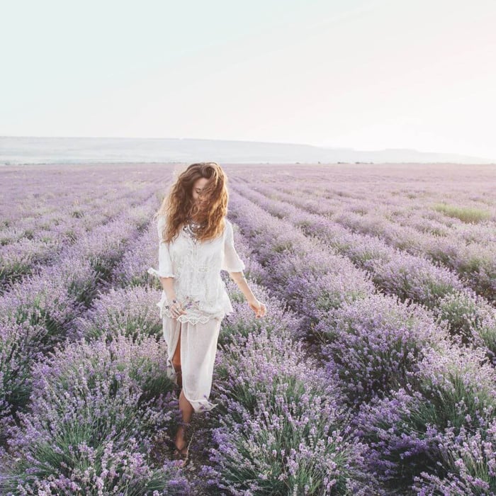 Lavendel Eterisk Olje – ro, balanse & velvære i én dråpe 💜