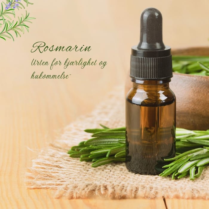 Rosmarin for håret – naturens hemmelighet for glans og vekst 🌿✨