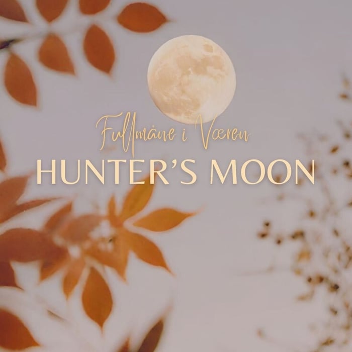 Fullmåne - Væren | Hunter's Moon