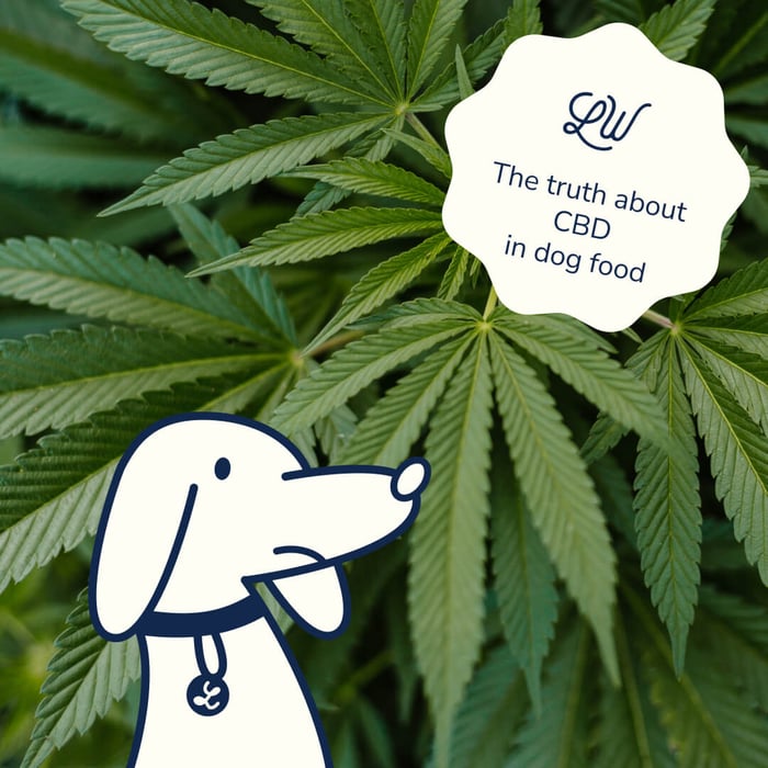 The Case Against CBD in Dog Food: Why LOONAWELL Advocates for Science-Based Nutrition