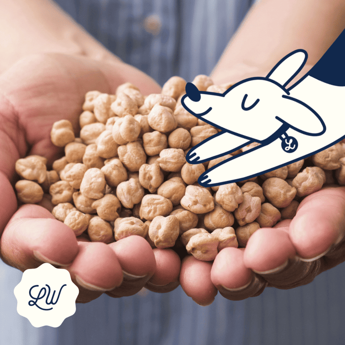 Can My Dog Eat Chickpeas?