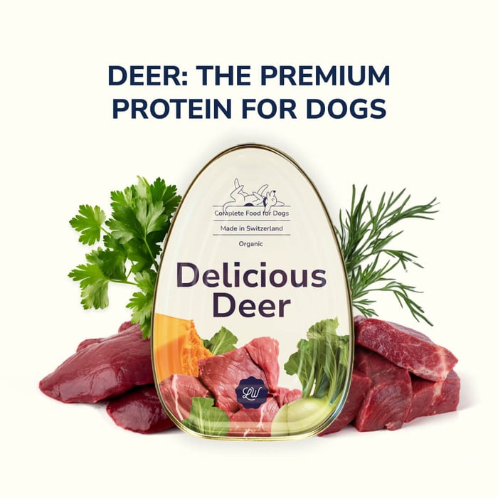 Why Deer for Dogs is the Ultimate Protein
