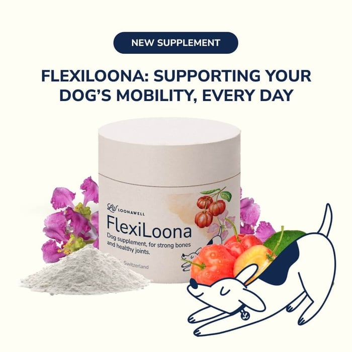 FlexiLoona: Supporting Your Dog’s Mobility, Every Day