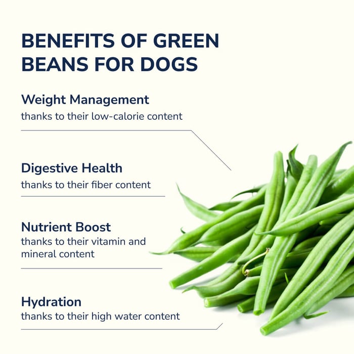 Green beans for dogs