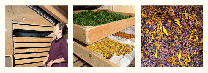 swiss herb supplier