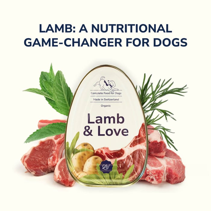 The Power of Lamb for Dogs: Why It's the Star Ingredient in Our Organic Dog Food