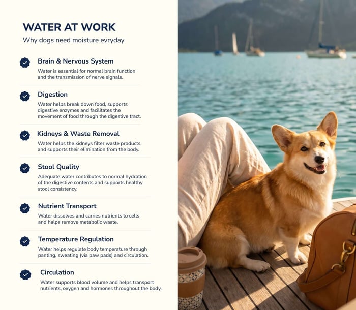The moisture gap. Why dogs need moisture, by LOONAWELL