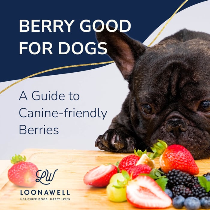 Berry Good for Dogs: A Guide to Canine-friendly Berries