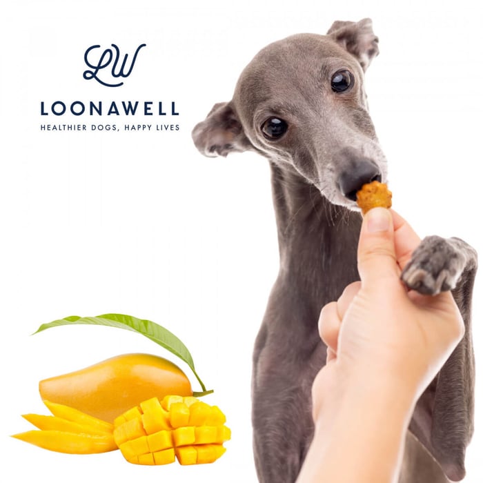 Is Mango safe for my dog?