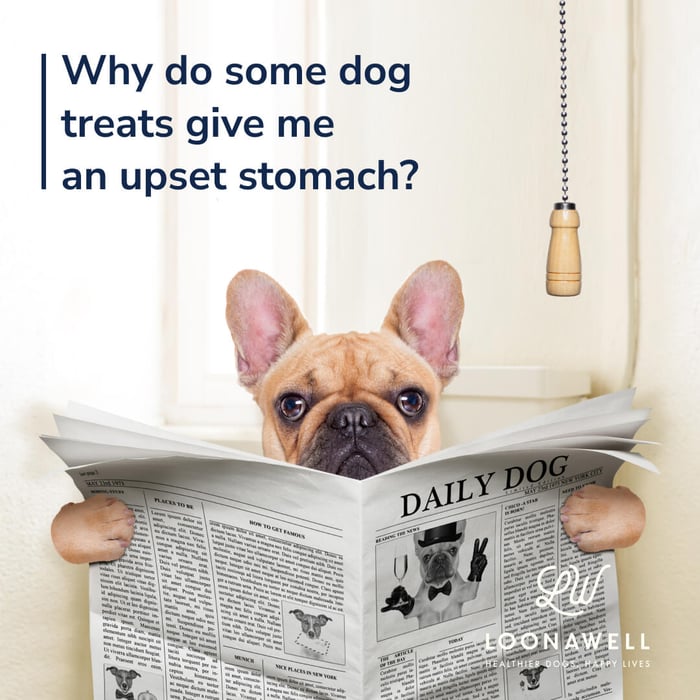 Why do some treats give me an upset stomach?