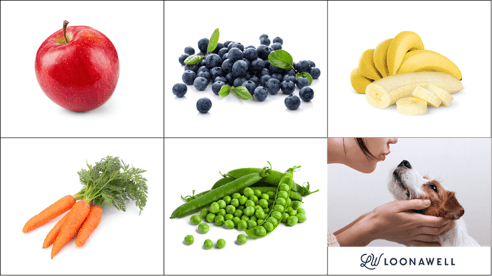 Organic Fruit & Veg and Dog Treats - What's in Common?