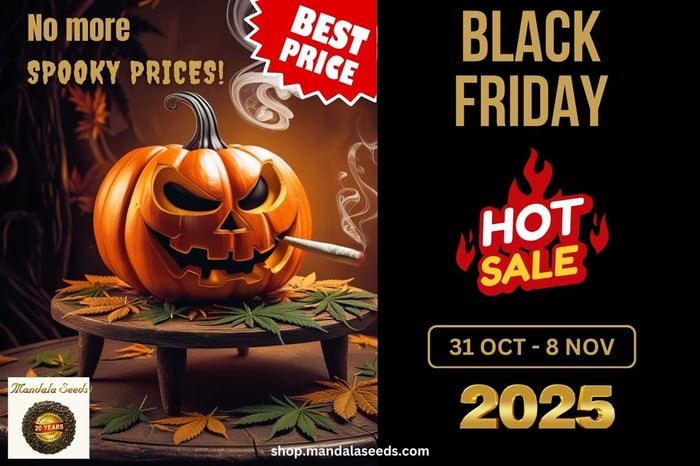 Black Friday Sale - Starts Halloween!