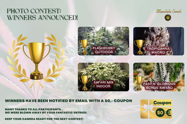 Photo Contest - January 2023 Winners Announced
