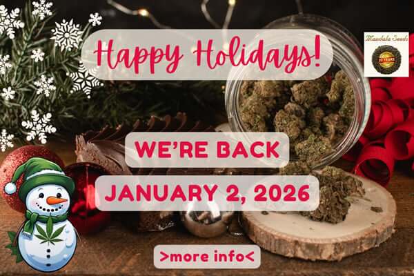 Christmas - Dates and Deadlines