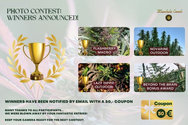 Photo Contest - January 2024 Winners Announced