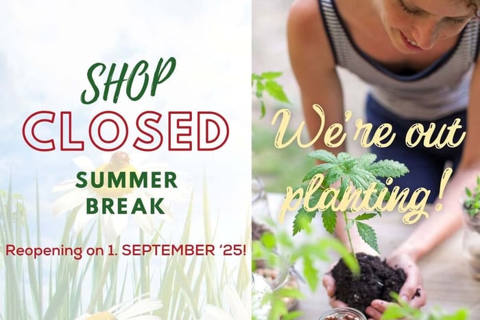 Summer Break - We're Back 1st September, 2025
