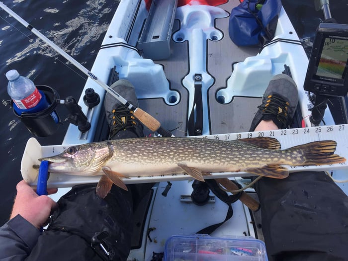 Pike, Driedmeat lake, Kayak Fishing; A Synopsis.
