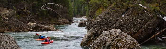 The River Report - Back to the Bull