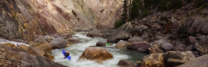 The River Report - Elk, Bull, Spillimacheen